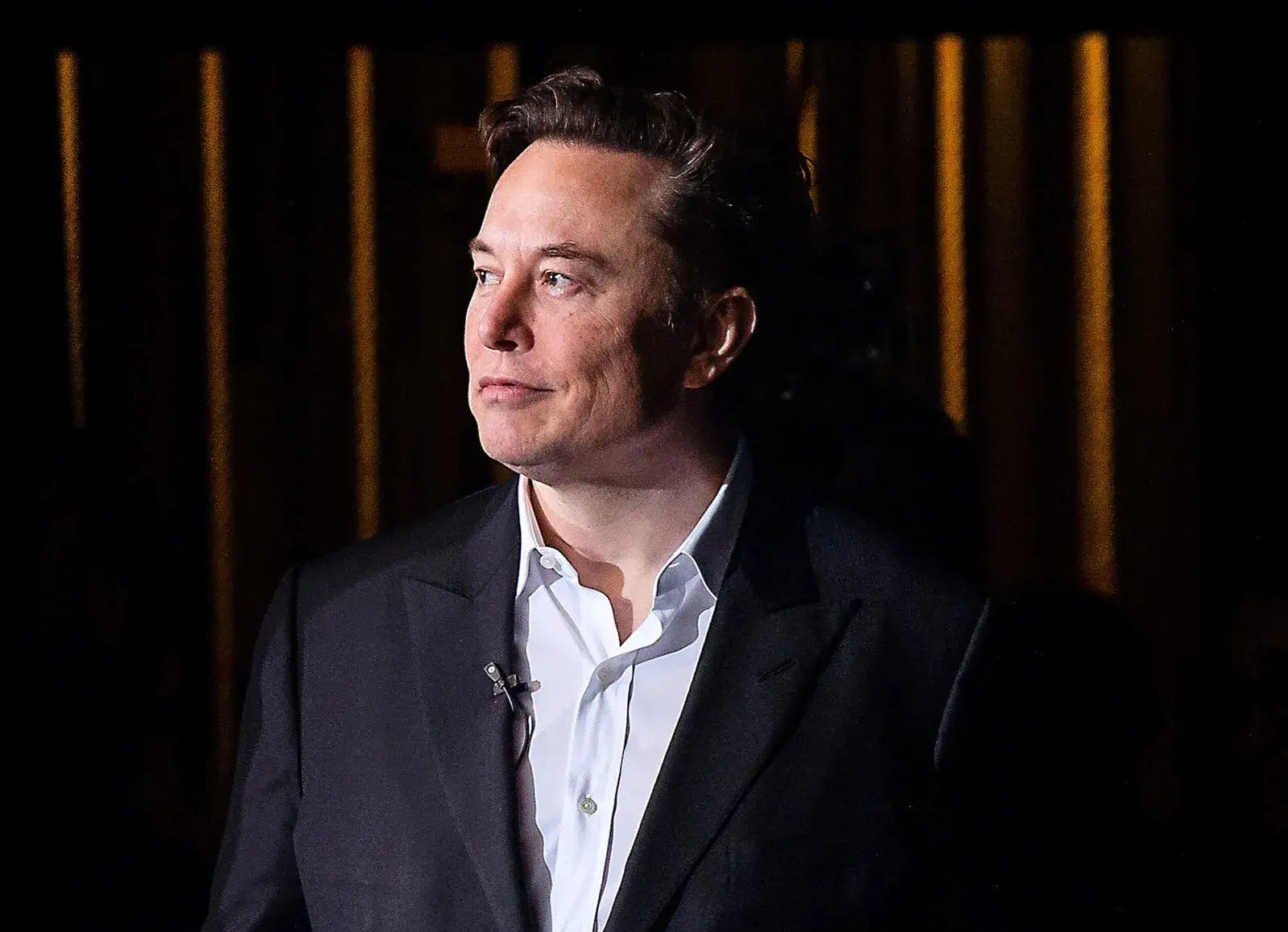 Elon Musk portrait